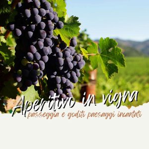 Aperitivo in Vigna